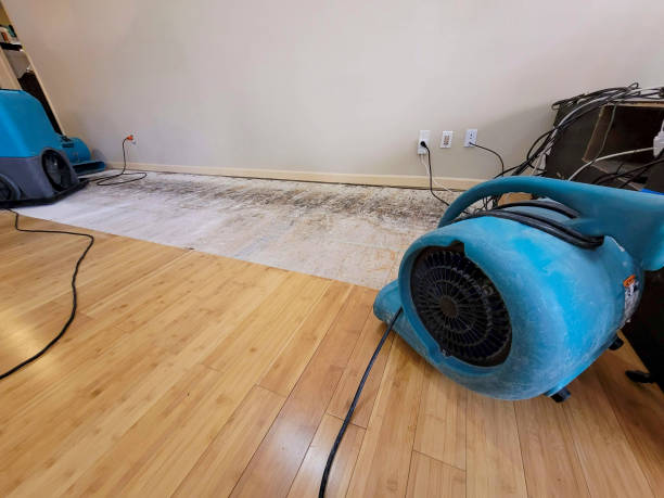 Professional Water Damage Repair technician working in Concord, CA
